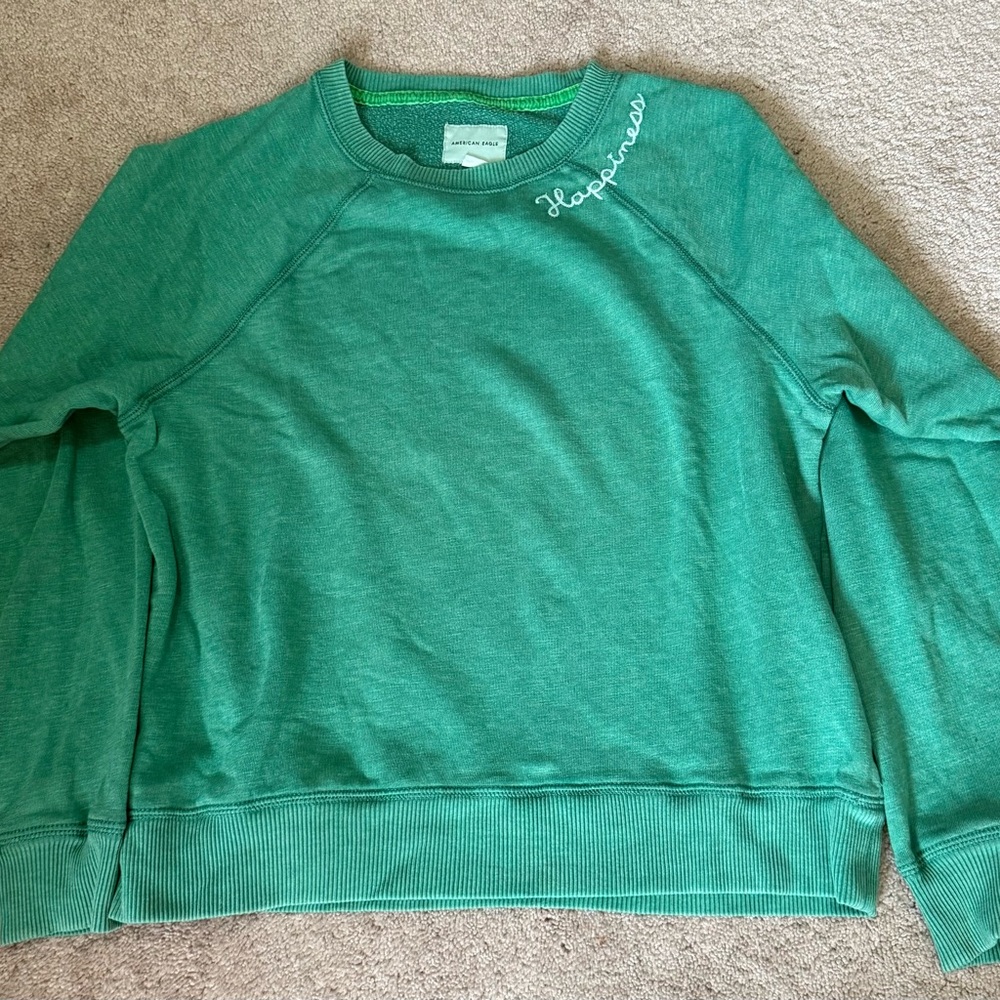 American Eagle Outfitters Green Crew Neck Sweater